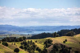 1060566_1.jpg