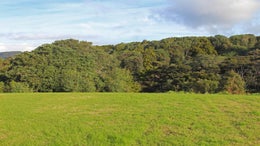 1150148_1.jpg