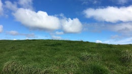 1150794_1.jpg