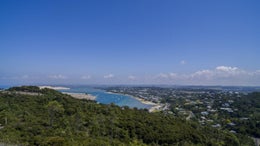 1150836_1.jpg