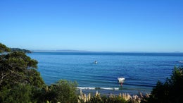 1150890_1.jpg