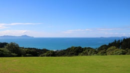 1150933_1.jpg