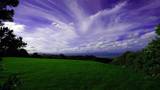 1150933_3.jpg