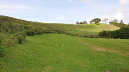 1151151_1.jpg