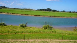 1151167_1.jpg