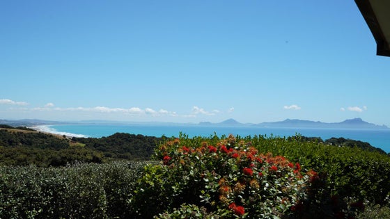1151283_3.jpg