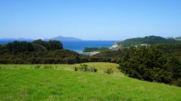 1151354_1.jpg