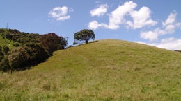 1151643_1.jpg