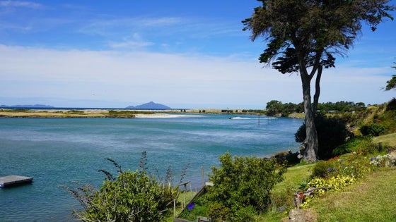 1151776_3.jpg