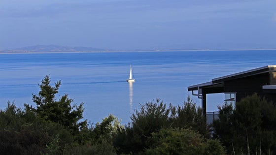 1151833_3.jpg