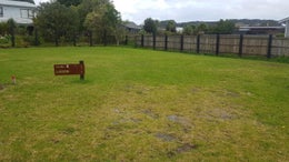 1152037_1.jpg