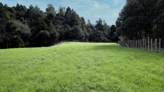1152076_3.jpg