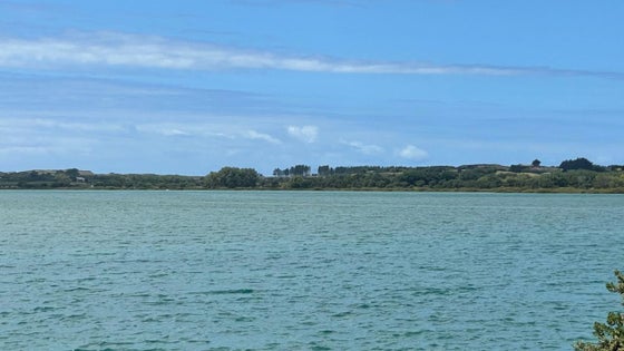 1152324_3.jpg