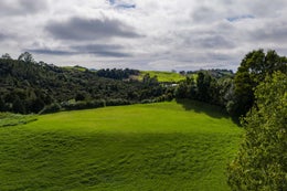 1154800_1.jpg
