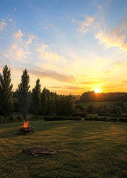 1155064_1.jpg