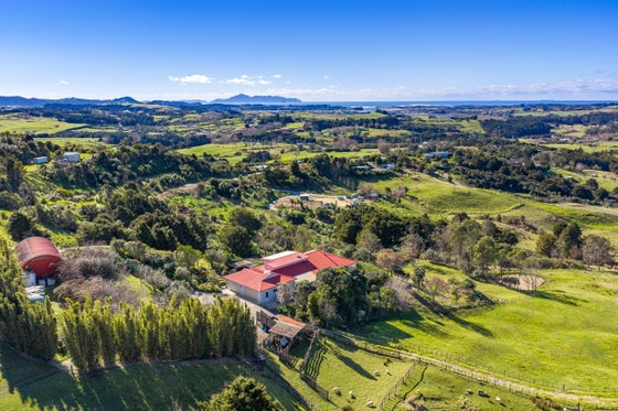 1155157_2.jpg