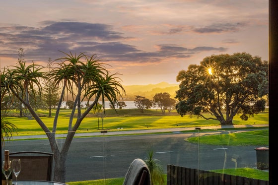 1170375_2.jpg