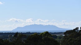1201632_1.jpg