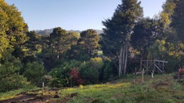 1202654_1.jpg