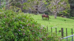 1204180_1.jpg