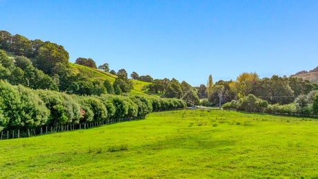 1204532_1.jpg