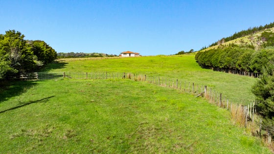1204532_3.jpg