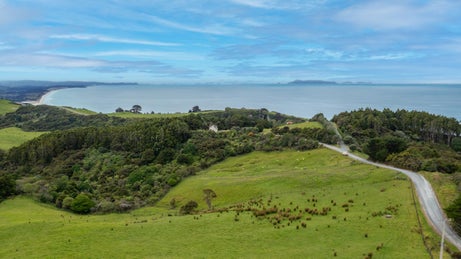 1204549_1.jpg
