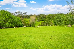 1204863_1.jpg