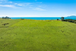 1205624_1.jpg