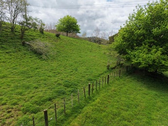 1205633_1.jpg