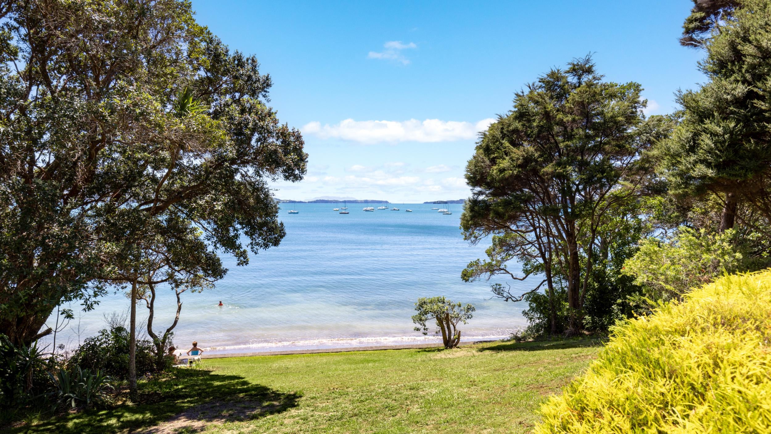 Residential Tender 1 and 3 Willjames Avenue Mahurangi East