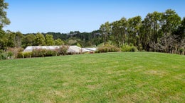 1253610_1.jpg
