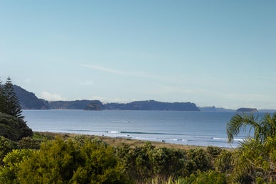 1253915_1.jpg