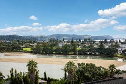 1255164_1.jpg