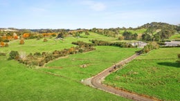 1255308_1.jpg