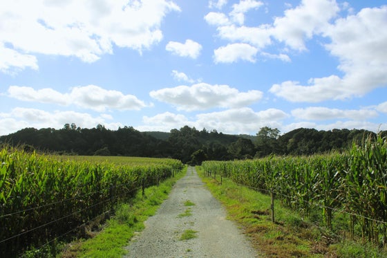 1270900_3.jpg