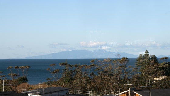 1330037_3.jpg