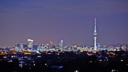 1330356_1.jpg
