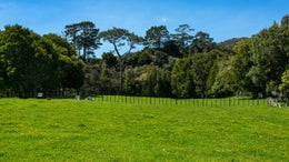 1331089_1.jpg