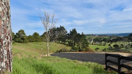 1331176_1.jpg