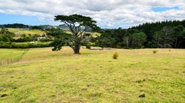 1350157_1.jpg
