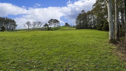 1350326_1.jpg