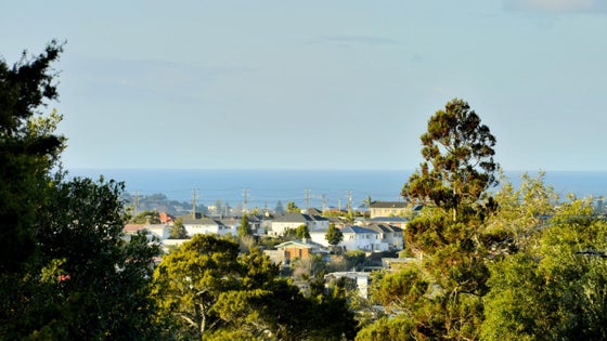 1400405_3.jpg