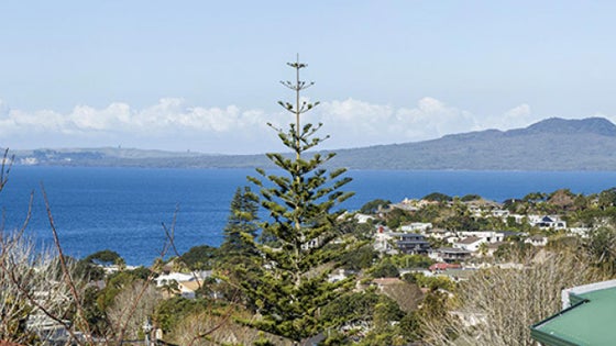 1400412_2.jpg