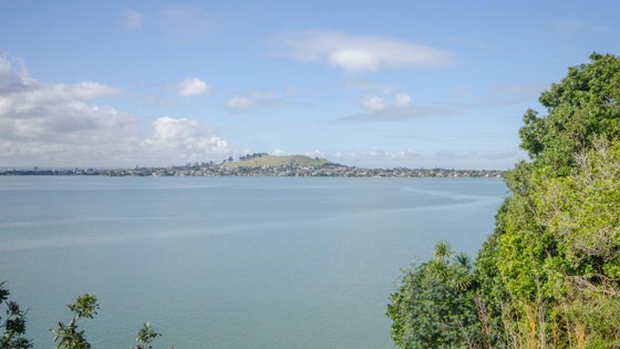 1410321_2.jpg