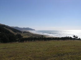 1413048_1.jpg