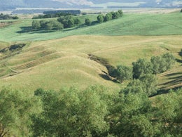 1414449_1.jpg