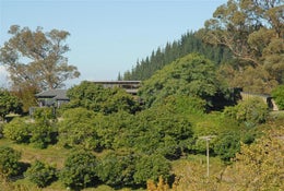 1415337_1.jpg