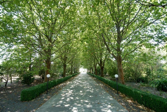 1415445_2.jpg