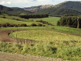 1415581_1.jpg
